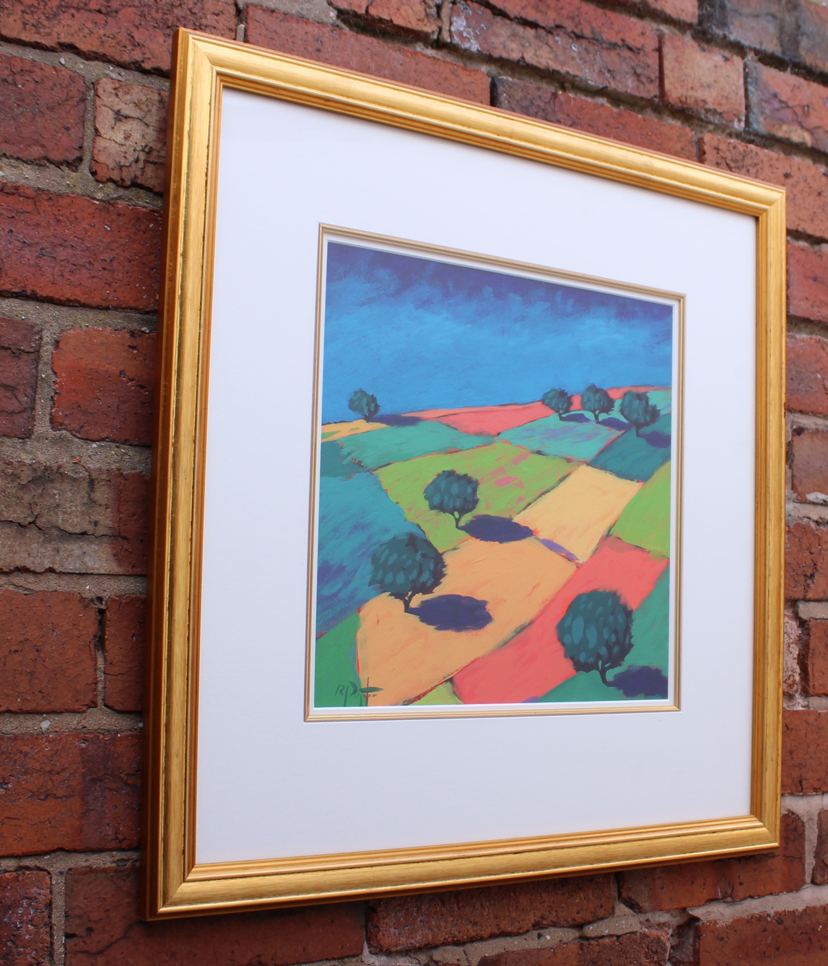 Colourful Fields 2 by Richard Pargeter