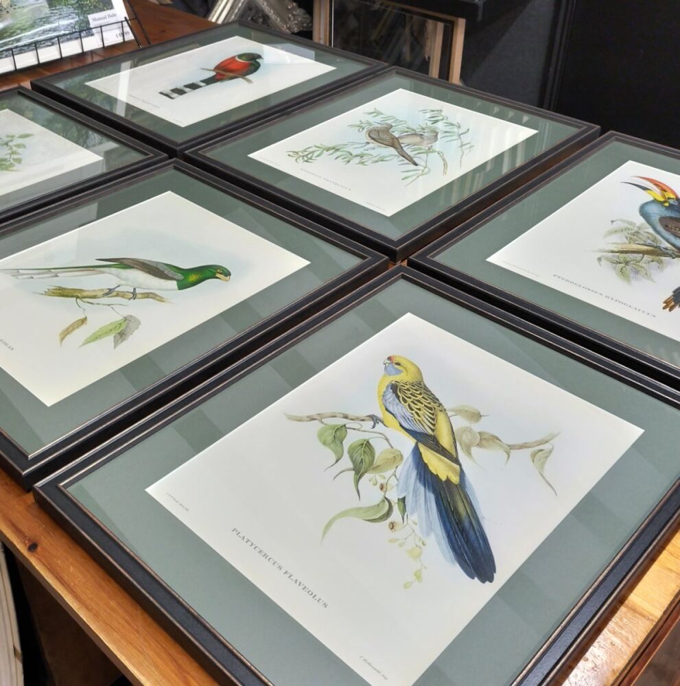 Collection of Vintage Prints
