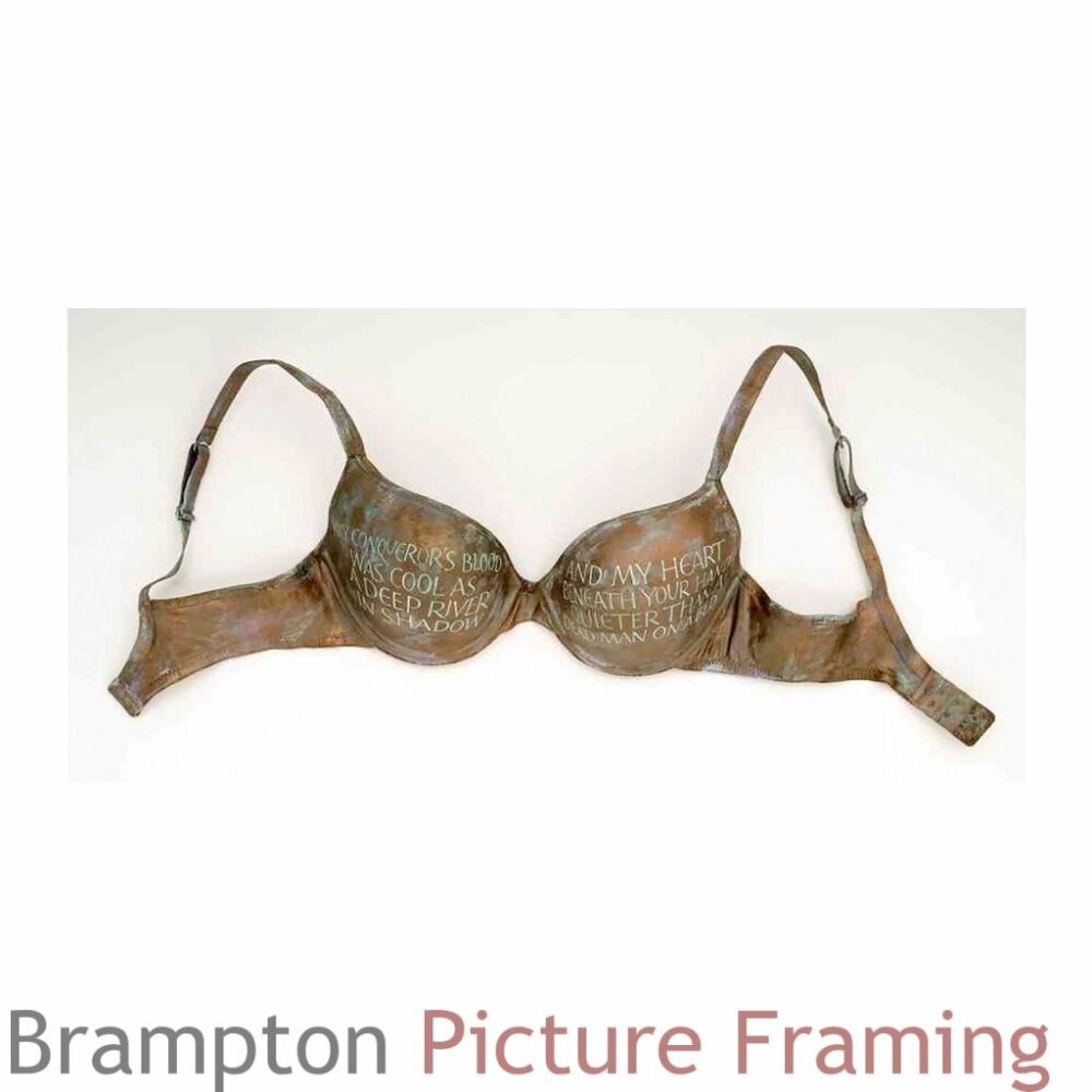 Hand painted bra a work by Elizabeth Forrest called Libido