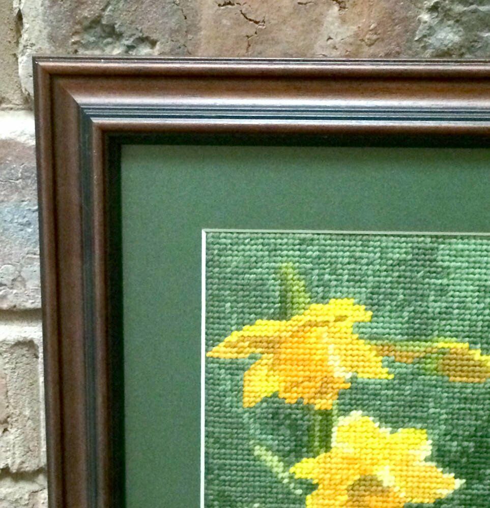 Daffodil cross stitch framed