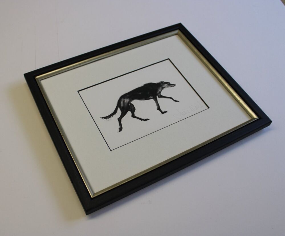 Ink Drawing by Jackie Morris