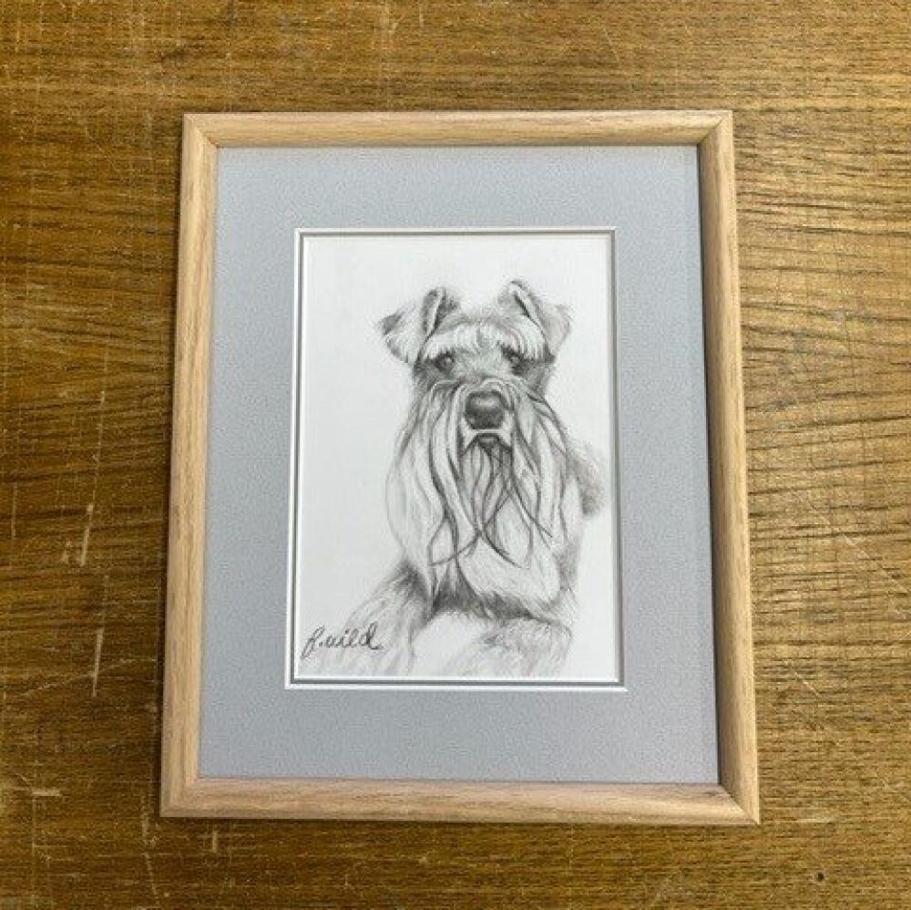 Pencil Portrait of Pet Dog