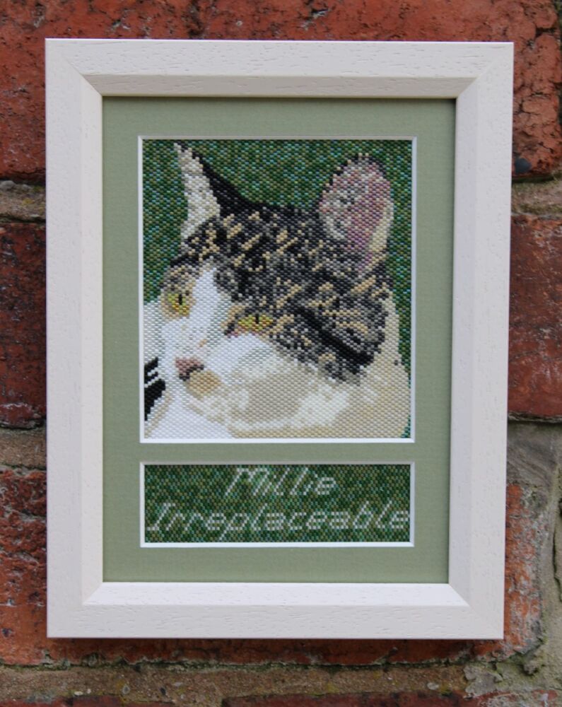 Miyuki Glass Seed Bead Picture