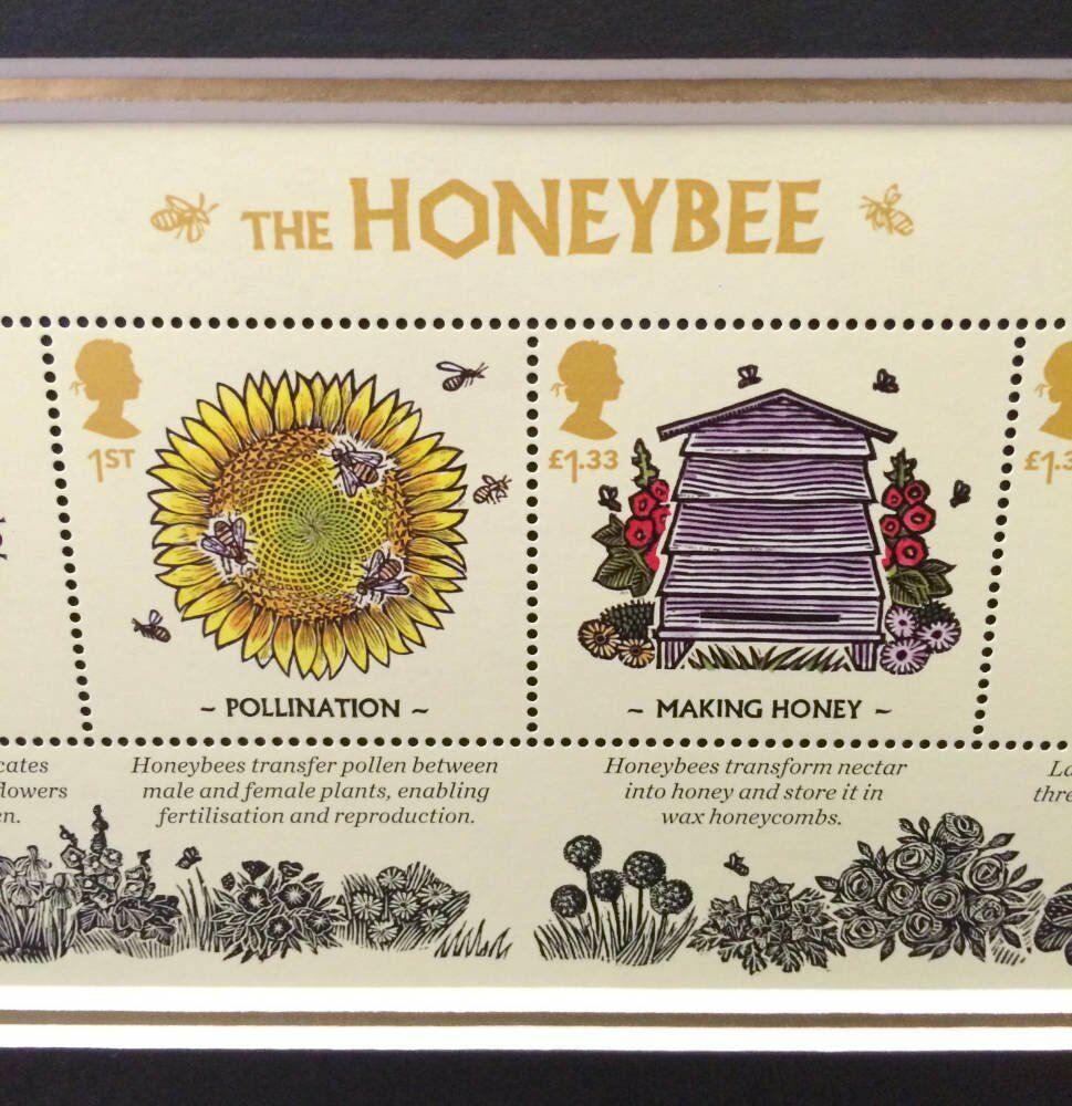 The Honeybee Stamp collection framed -