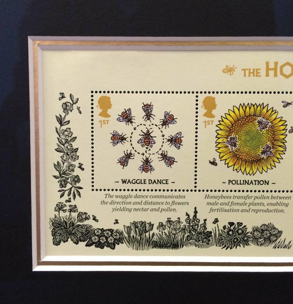 Anything Framed - ultra vue glass collectable stamps collectable stamps framed