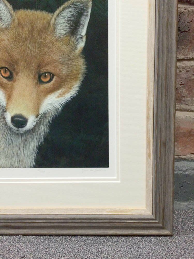 Larson juhl bespoke double mount limited edition framing - Stunning Fox portrait