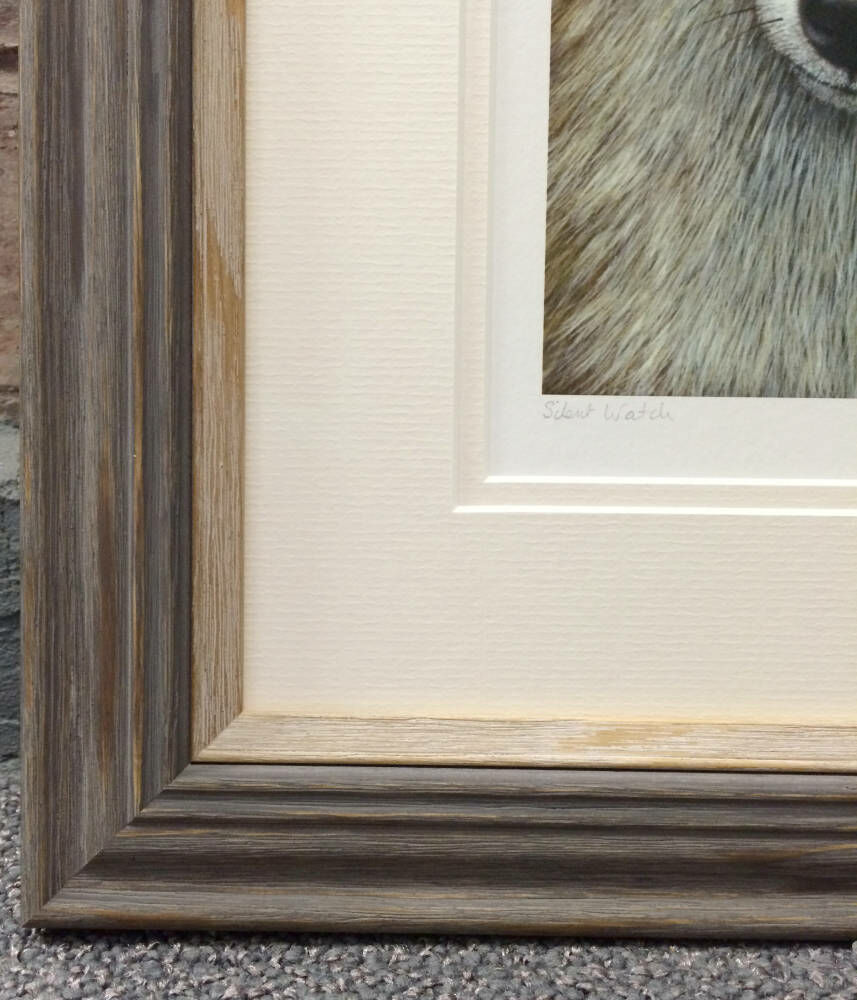 Signed print framing cream double mount pastel drawing framed - Stunning Fox portrait