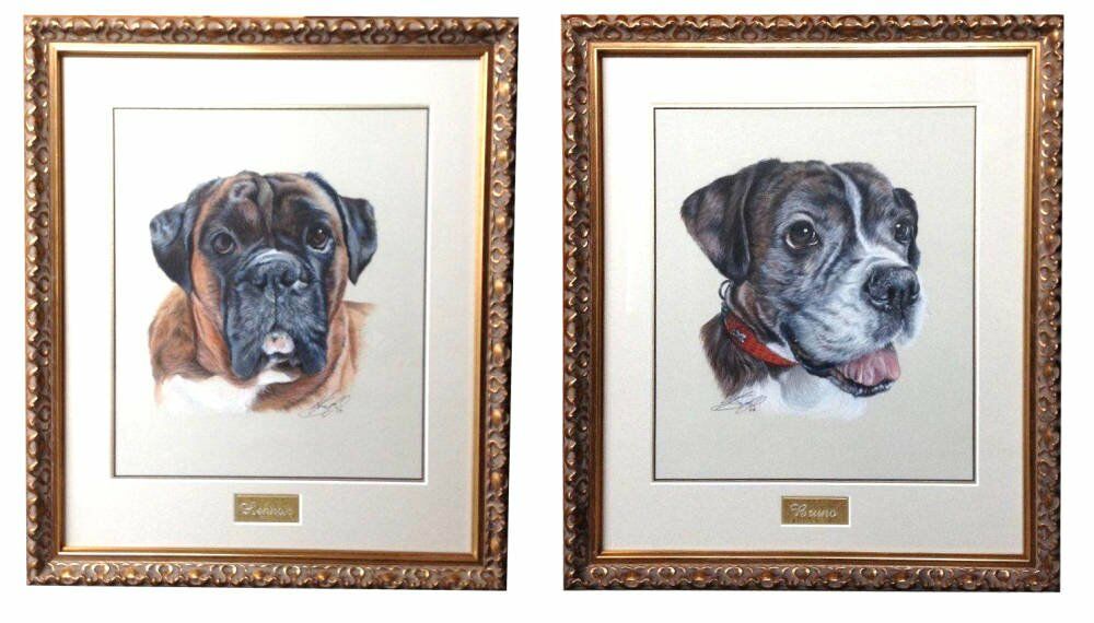 Pet portraits frames dog drawing Bruno the god - Bruno Lennox Dog Portraits Karen M Berisford Originals