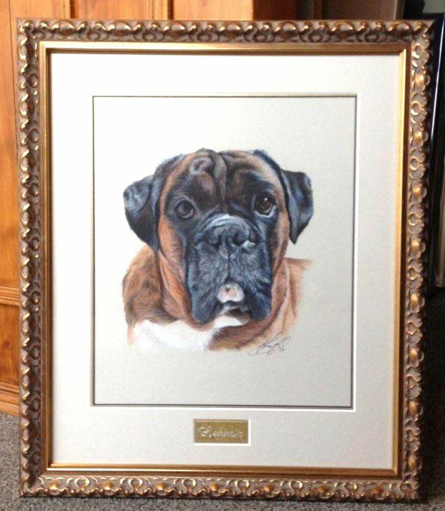 Bruno Lennox Dog Portraits Karen M Berisford Originals - dog drawing gold name plate gold ornate frame