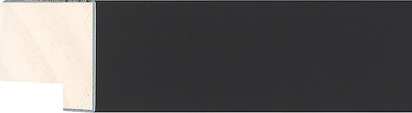 Sample of 150167000 Picture Frame Moulding