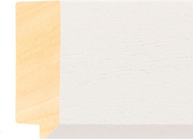 Sample of 423000237 Picture Frame Moulding