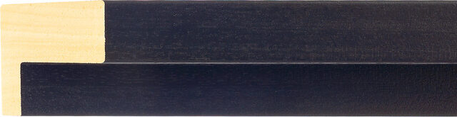 Sample of 516000167 Picture Frame Moulding