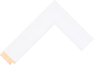 AQ.526127040 moulding