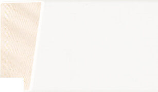 Sample of 529127000 Picture Frame Moulding