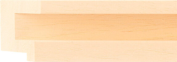 Sample of 544400000 Picture Frame Moulding