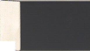 Sample of 712167000 Picture Frame Moulding