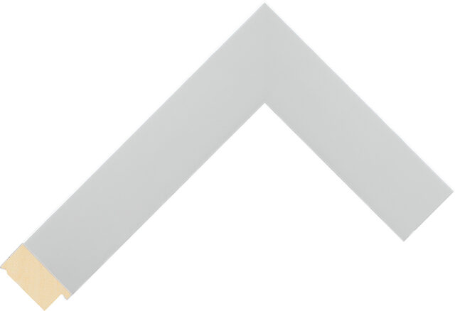Picture Frame Moulding 922700000 - Polished Silver - 34mm wide x 20mm deep