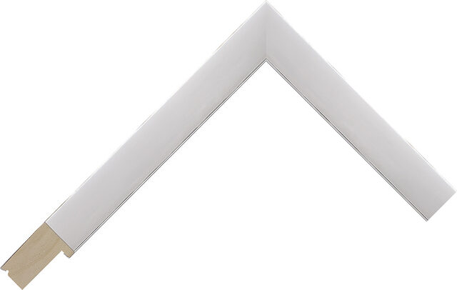 Picture Frame Moulding 929700000 - Polished Silver - 19mm wide x 34mm deep